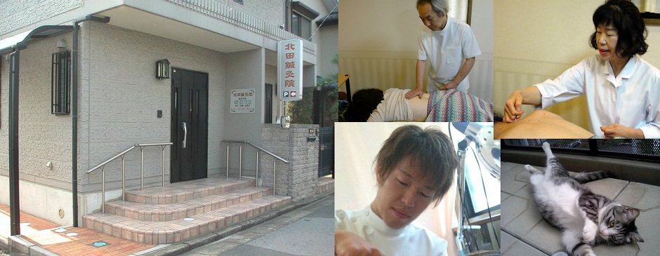 60年の信頼と実績 北田鍼灸院