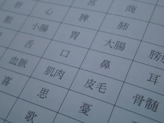 東洋医学の施術3