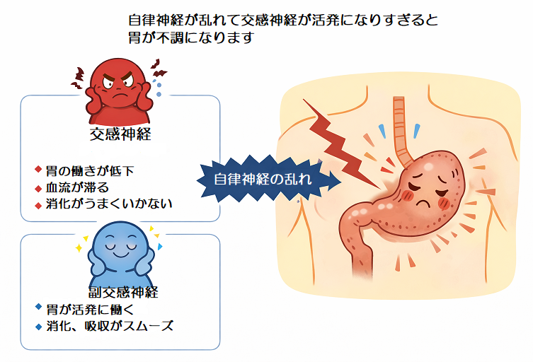 胃痛 胃もたれ 食欲不振 自律神経