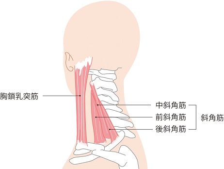 左肩から腕の痛み、シビレ　頚腕症候群