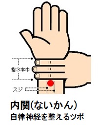 自律神経失調症　寝つきが悪い、首、肩、背中のコリ